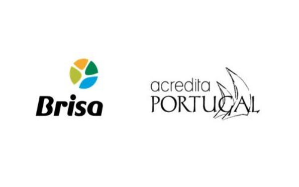 Finalistas Brisa Mobilidade 2020