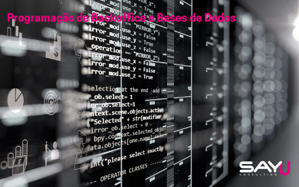 Backoffice and Database Programming