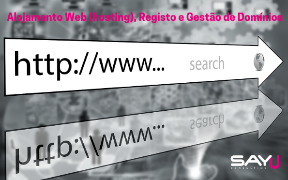 Web Hosting Domain Registration and Management