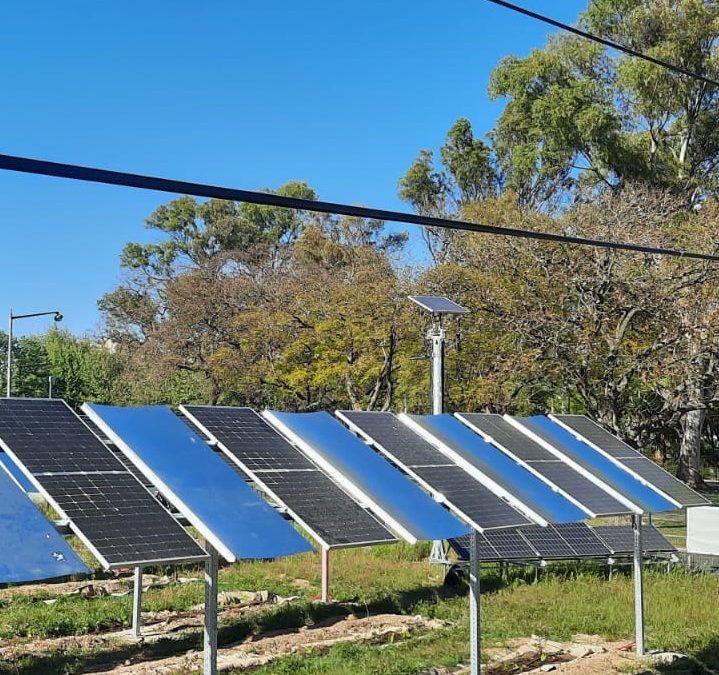 Image4All develops "agrovoltaic" project at FCUL