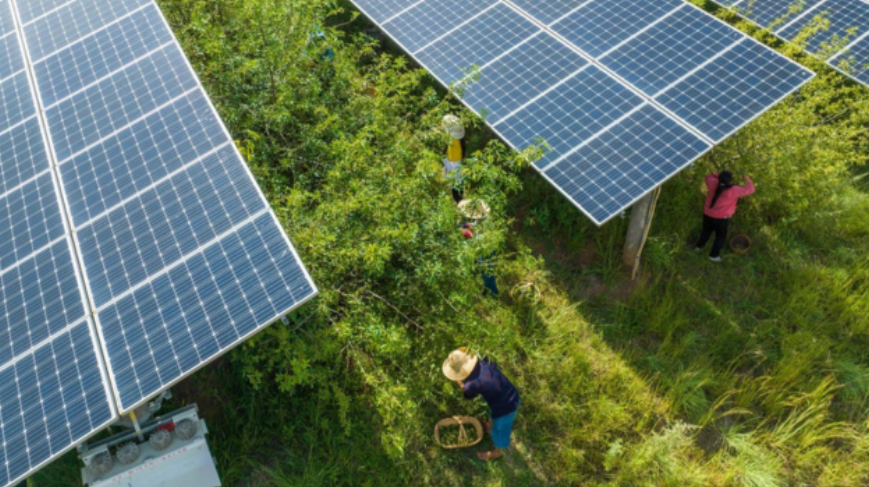 20240411_PR Image4All_Agrivoltaico